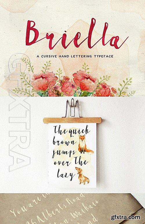 CM - Briella Font 540798