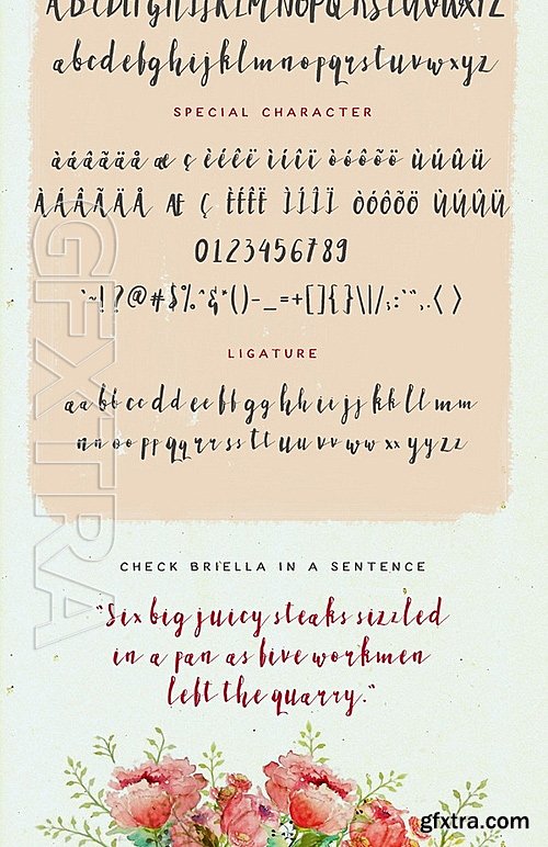 CM - Briella Font 540798