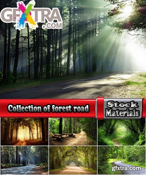 Collection of forest road primer 25 HQ Jpeg