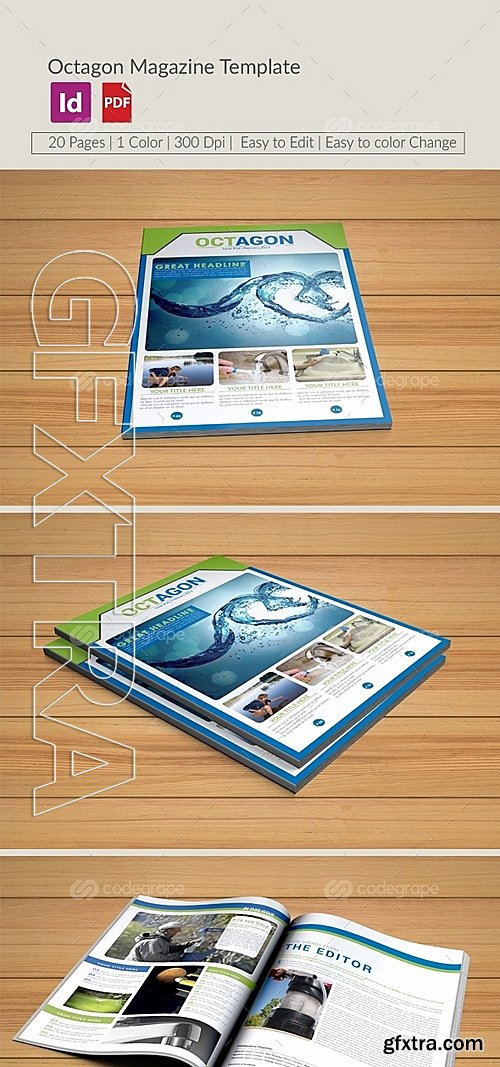 Octagon Magazine Template 6259