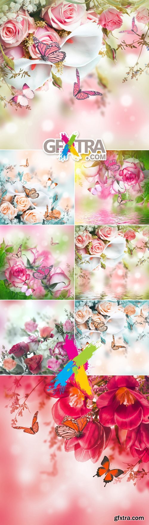 Stock Photo - Flowers Cards 2