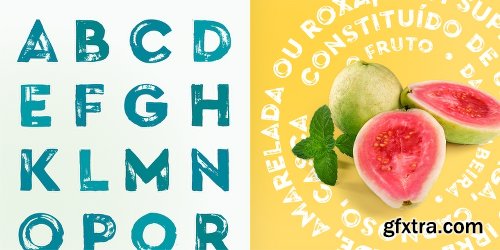 Cera Brush Font Family - 2 Font $64