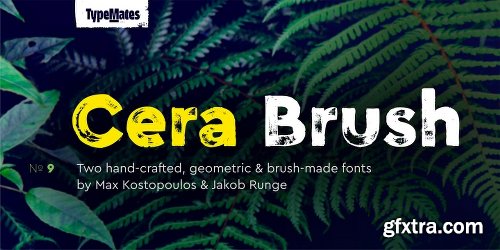 Cera Brush Font Family - 2 Font $64