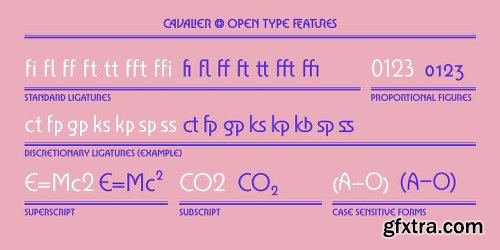 Cavalier Font Family - 5 Font $99