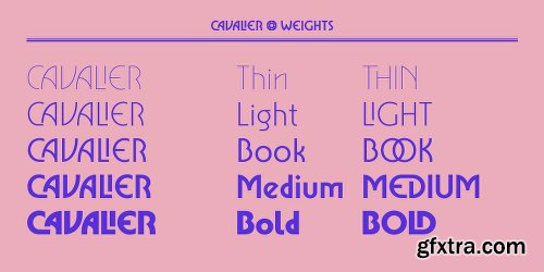 Cavalier Font Family - 5 Font $99