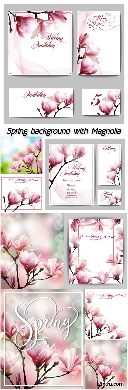 Spring background with blossom of Magnolia