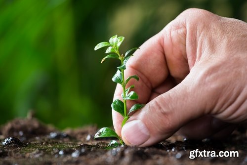 Collection of people planting trees sprout 25 HQ Jpeg