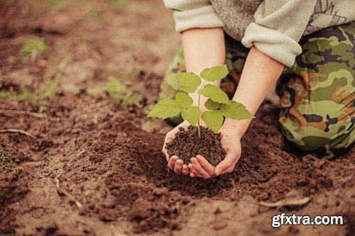 Collection of people planting trees sprout 25 HQ Jpeg