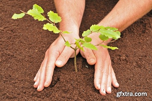 Collection of people planting trees sprout 25 HQ Jpeg