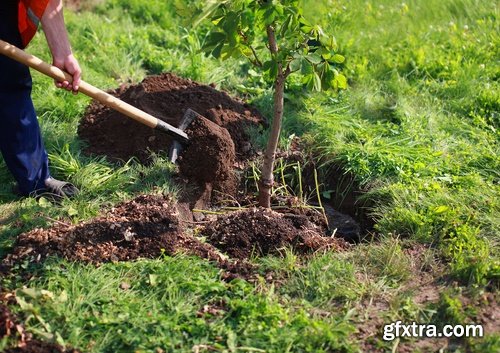 Collection of people planting trees sprout 25 HQ Jpeg