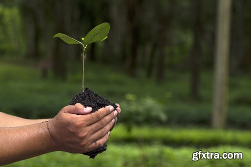 Collection of people planting trees sprout 25 HQ Jpeg