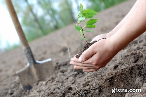 Collection of people planting trees sprout 25 HQ Jpeg