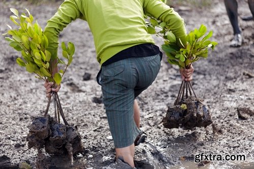 Collection of people planting trees sprout 25 HQ Jpeg