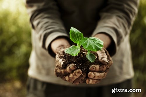 Collection of people planting trees sprout 25 HQ Jpeg