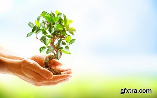 Collection of people planting trees sprout 25 HQ Jpeg