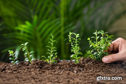 Collection of people planting trees sprout 25 HQ Jpeg