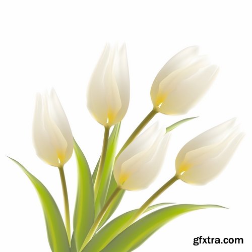 Collection of vector illustration picture Spring flower grass flyer card 25 EPS