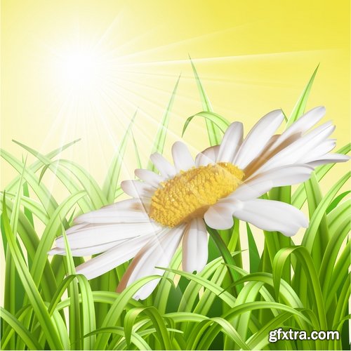 Collection of vector illustration picture Spring flower grass flyer card 25 EPS