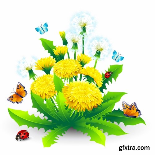 Collection of vector illustration picture Spring flower grass flyer card 25 EPS