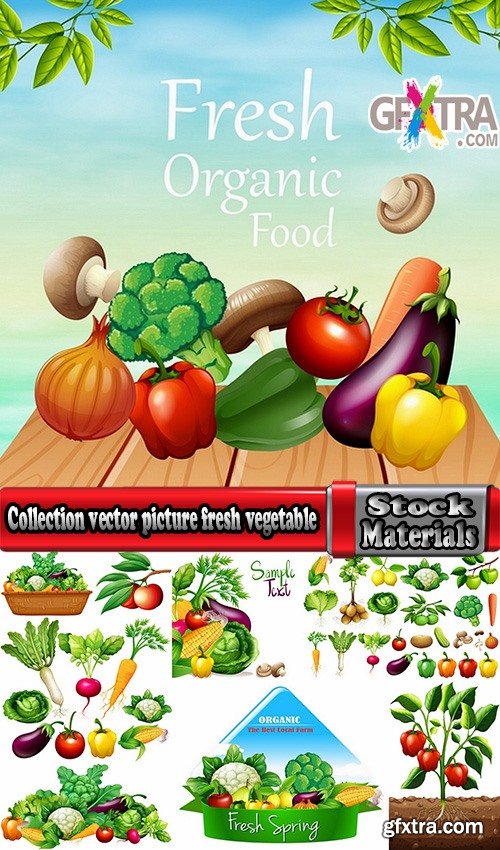 Collection vector picture fresh vegetable fruit basket with food 25 EPS