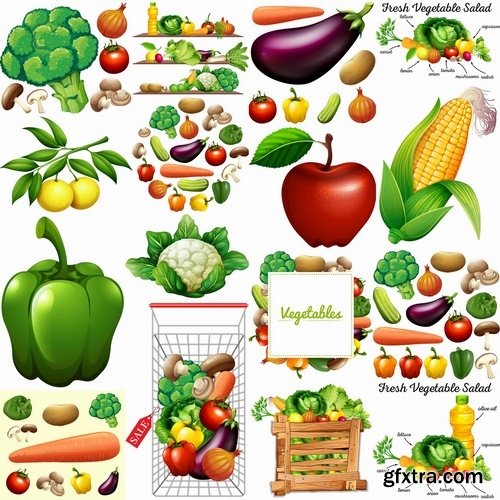 Collection vector picture fresh vegetable fruit basket with food 25 EPS