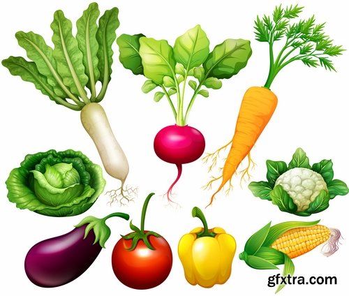 Collection vector picture fresh vegetable fruit basket with food 25 EPS