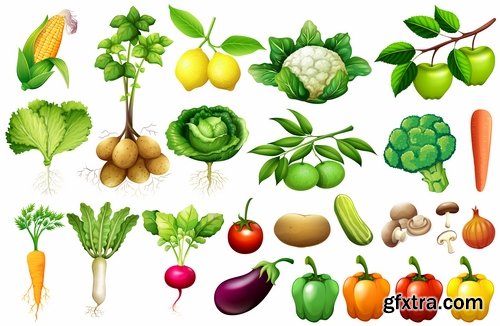 Collection vector picture fresh vegetable fruit basket with food 25 EPS