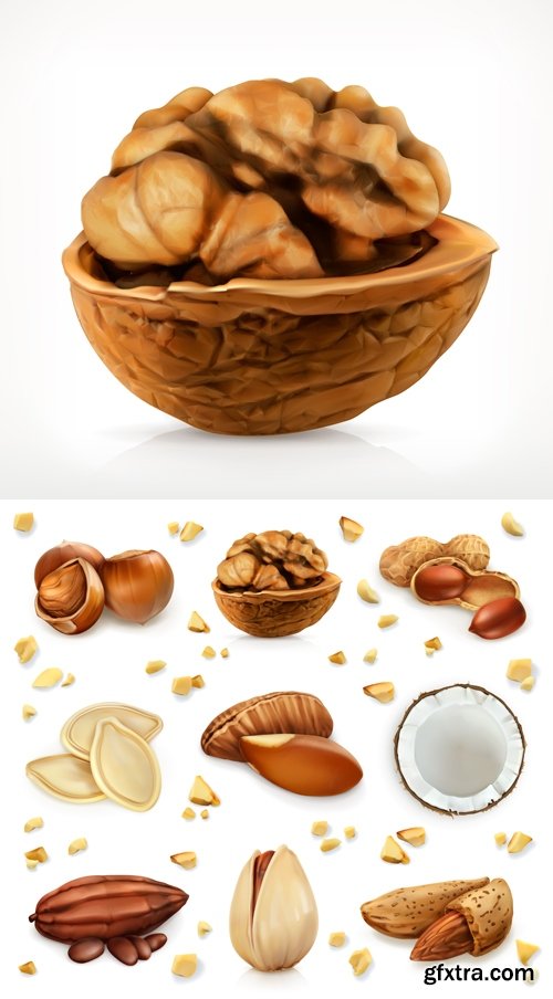 Nuts Isolated Vector