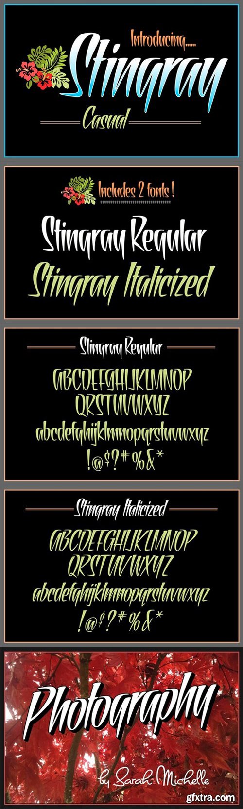 CM - Stingray Casual Display Fonts 537034