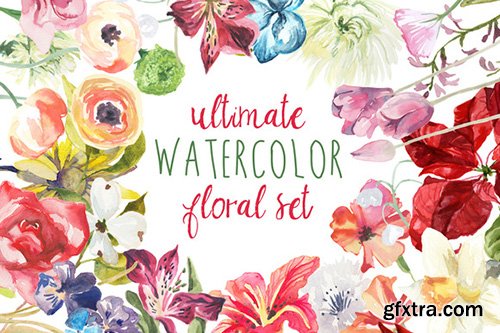 Ultimate Watercolor Floral Set - CM 140002