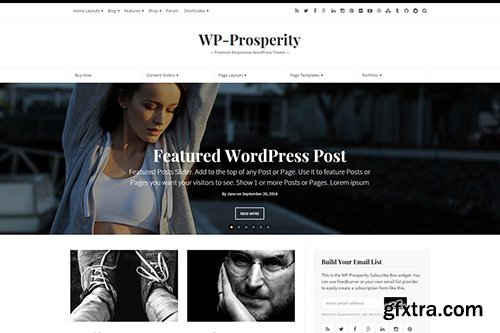 WP-Prosperity - WP-Prosperity v2.6.1 - Premium Responsive WordPress Theme