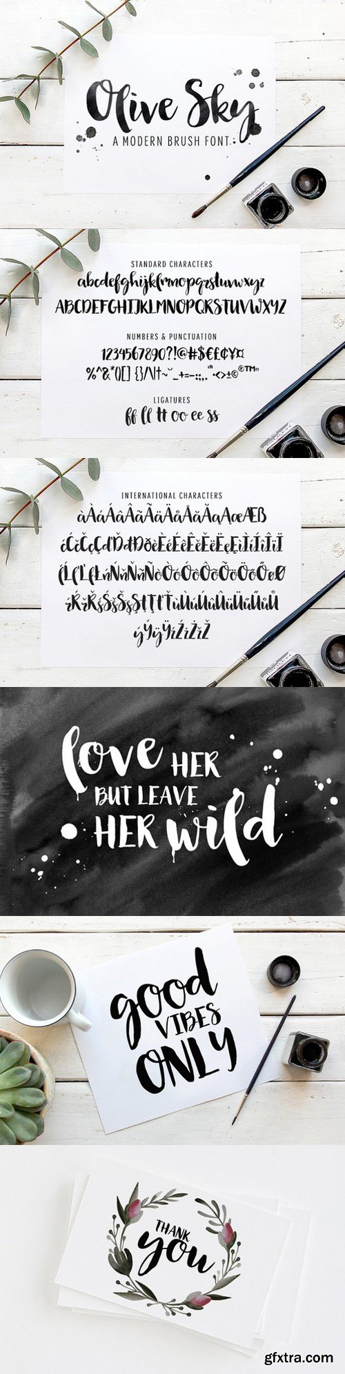 CM - Modern brush font - Olive Sky 539979