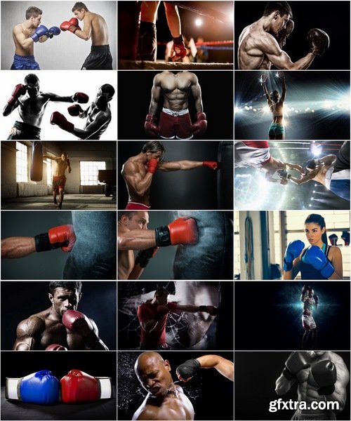 Collection boxer box ring boxing gloves 25 HQ Jpeg