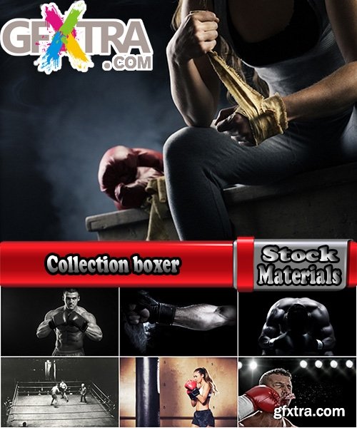 Collection boxer box ring boxing gloves 25 HQ Jpeg