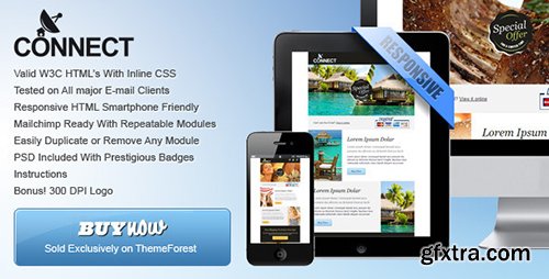 ThemeForest - 'Connect' v1.0 - Professional Responsive Email Template - 5062149