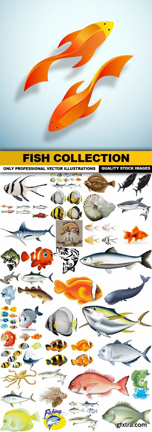 Fish Collection - 45 Vector