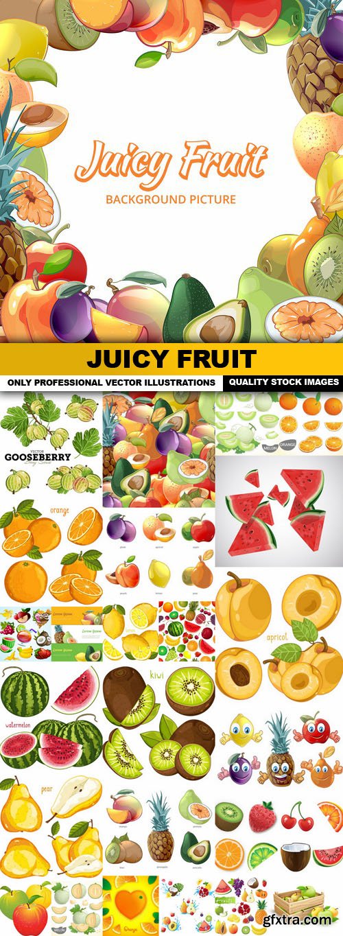 Juicy Fruit - 25 Vector