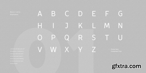 TT Prosto Sans Condensed Font Family - 10 FONT 500$