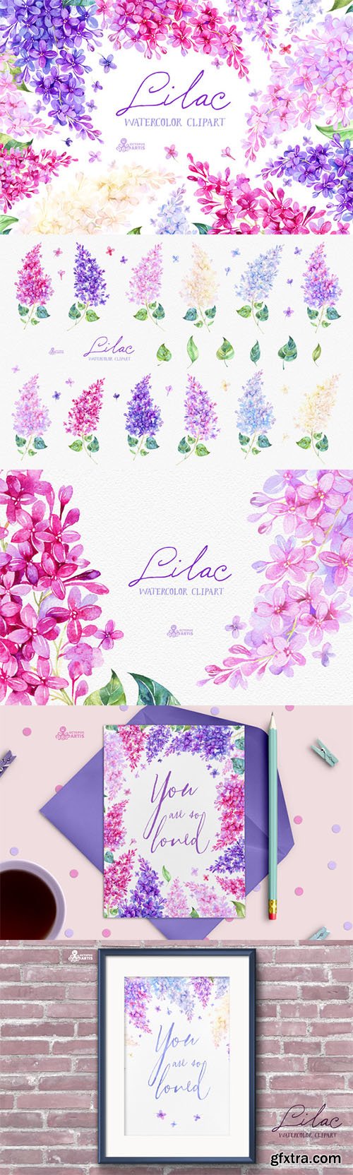 Lilac. Watercolor collection - CM 529891