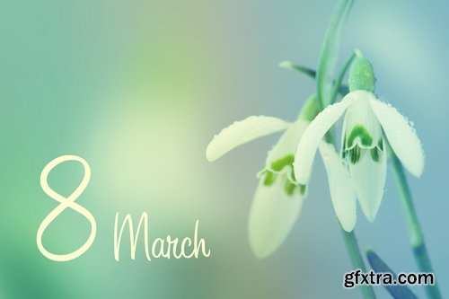 Collection of snowdrop flower spring awakening sprout 25 HQ Jpeg