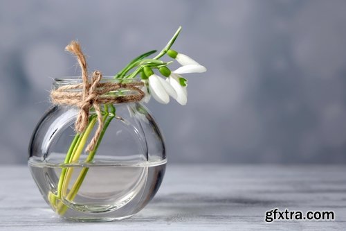 Collection of snowdrop flower spring awakening sprout 25 HQ Jpeg