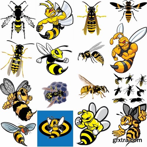 Collection of wasp hornet insect vector image 25 EPS