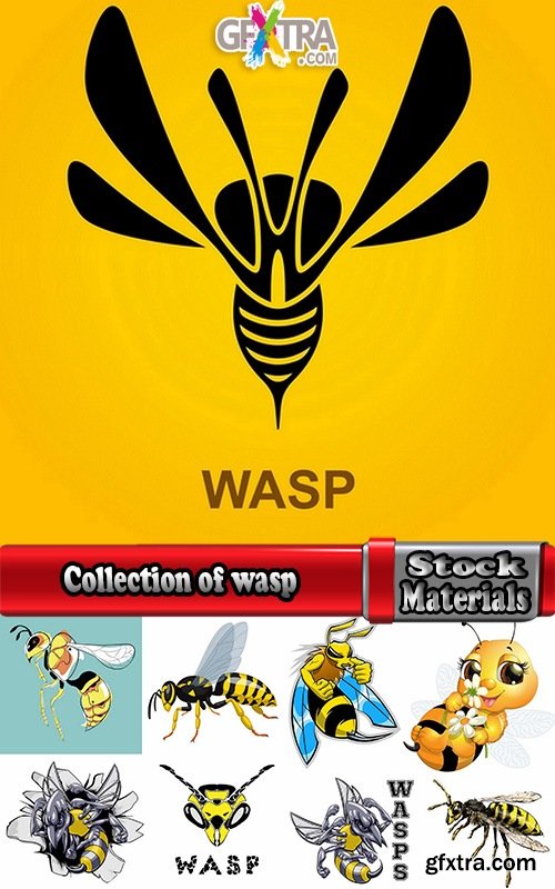 Collection of wasp hornet insect vector image 25 EPS