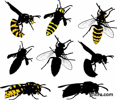 Collection of wasp hornet insect vector image 25 EPS