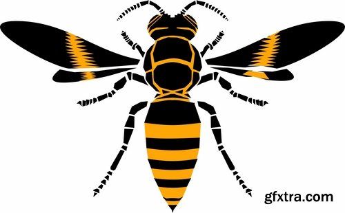 Collection of wasp hornet insect vector image 25 EPS