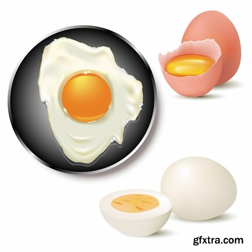 Breakfast Collection of eggs vector image 25 EPS