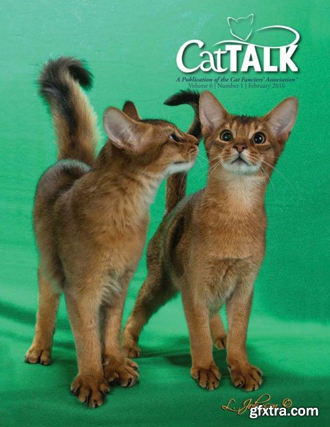 Cat Talk - February 2016