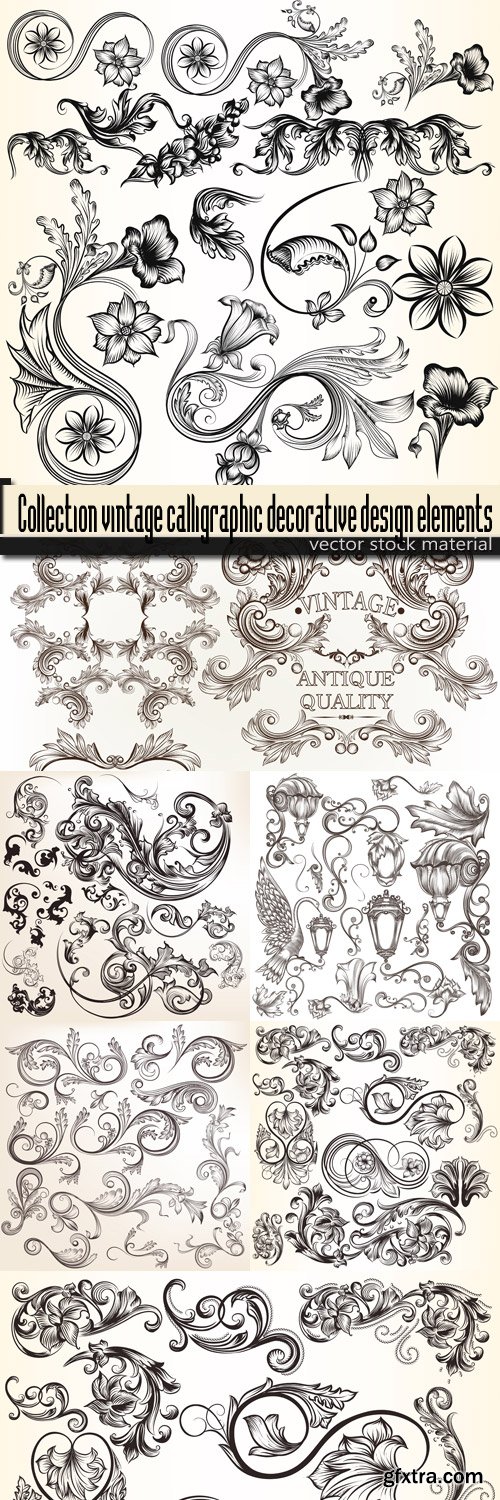 Collection vintage calligraphic decorative design elements