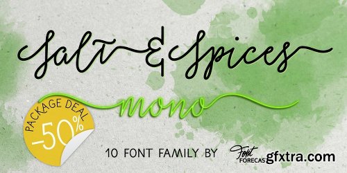 Salt&Spices Mono Font Family 10 FONTS $199