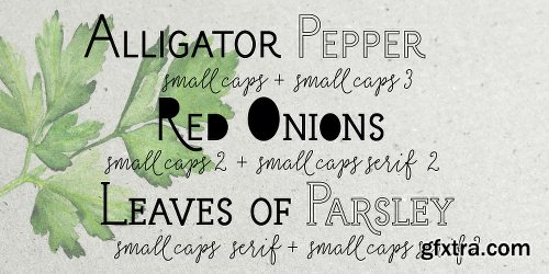 Salt&Spices Mono Font Family 10 FONTS $199